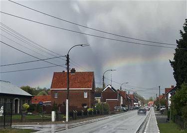 Alle kleuren van de regenboog - Beringen