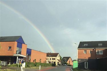 Alle kleuren van de regenboog - Beringen