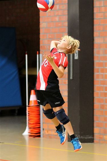 Alle volley-seniorenploegen Lovoc aan de winst - Lommel