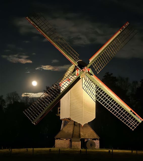 Alle wegen leiden naar... - Pelt