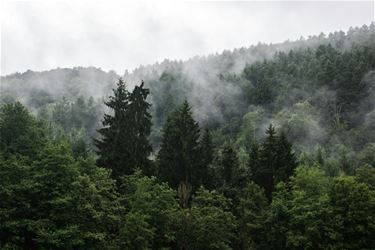 Als de campings in de Ardennen sluiten... - Bree & Pelt
