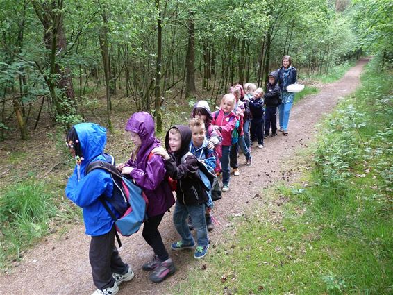 Als een duizendpoot naar school - Overpelt