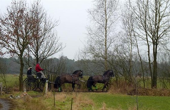 Als in een ver verleden - Neerpelt