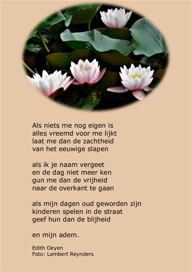 Als niets me nog eigen is - Beringen & Leopoldsburg
