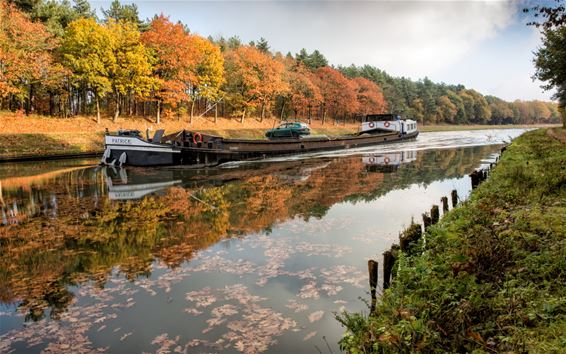 Alweer wat herfstbeelden - Lommel