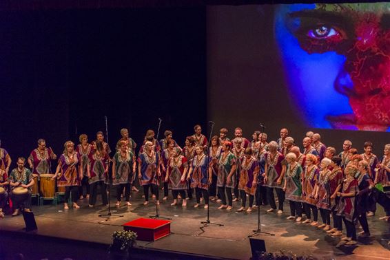 Ambiance met Daytime - Pelt