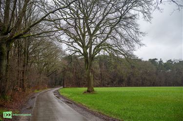 ANB zoekt beheerder voor natuurpercelen in Reppel - Bocholt
