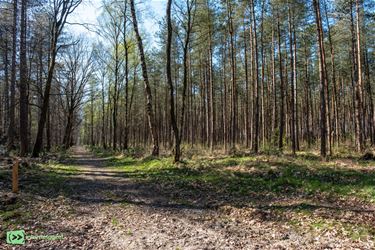 ANB zoekt kandidaat-beheerders natuurpercelen - Oudsbergen