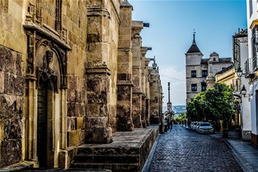 Andalusië als wandelparadijs - Pelt