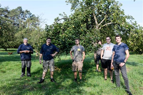 Appelpluk bij Het Aerts Paradijs - Beringen