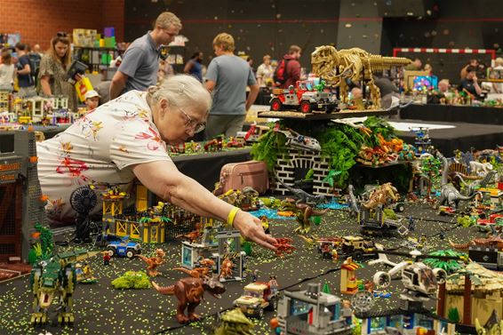 Army Bricks, een speelse beurs voor jong en oud - Leopoldsburg