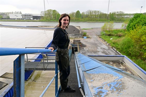 Artstone, vernieuwer in hart en nieren - Beringen