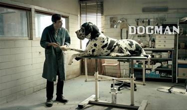 Avant-première Dogman in Roxy - Beringen