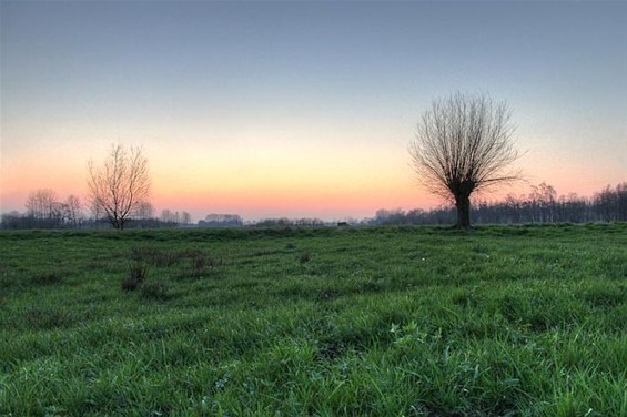 Avond op de vloeiweiden - Lommel