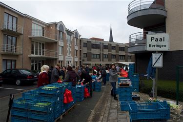 Avondmarkt in Paal - Beringen