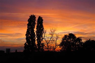 Avondrood in Beringen - Beringen