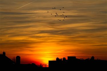 Avondrood in Beringen - Beringen