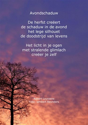 Avondschaduw - Beringen & Leopoldsburg