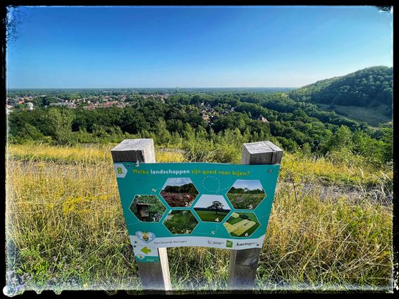 Avontuurlijke bijenwandeling - Beringen