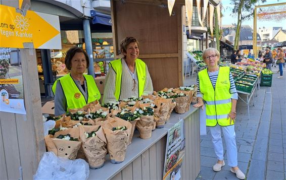 Azaleaverkoop op de weekmarkt - Pelt
