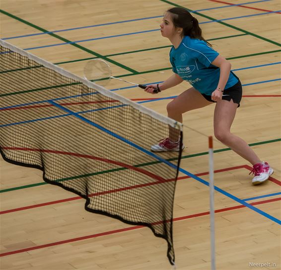 Wie wordt provinciaal badmintonkampioen? - Overpelt