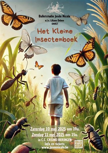 Ballet Het Kleine Insectenboek - Beringen
