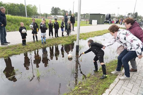 Balletje vissen uit het regenopvangbekken - Lommel