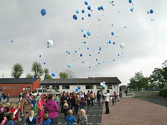 Ballonwedstrijd in Holheide: wie gaat winnen? - Overpelt