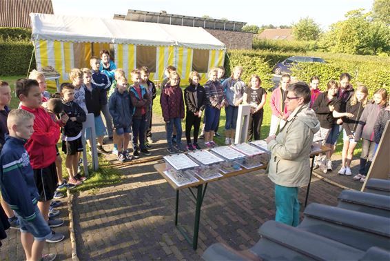 Balu Lutlommel op museumbezoek - Lommel