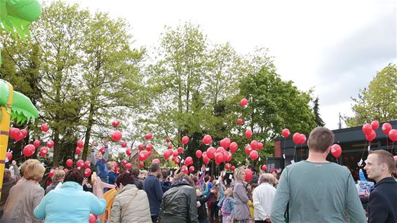Basisschool Heide-Heuvel blaast 50 kaarsjes uit - Lommel