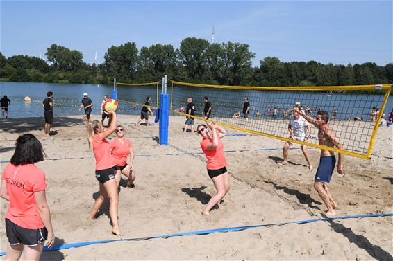 Beachvolley onder stralende zon - Beringen