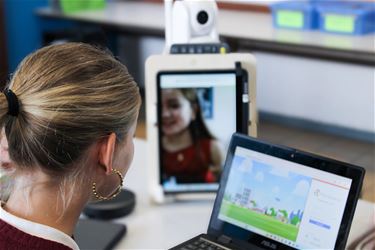 Bednet zoekt buddy's - Leopoldsburg