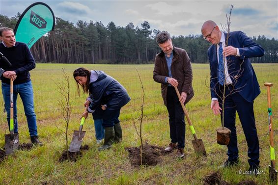 Bedrijf gaat 13,5ha in Pijnven bebossen - Hechtel-Eksel & Pelt