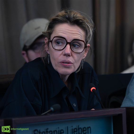 Beeldig Lommel blijft discussiepunt - Lommel