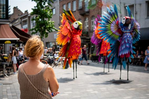 Beeldig Lommel trok 55.000 bezoekers - Lommel