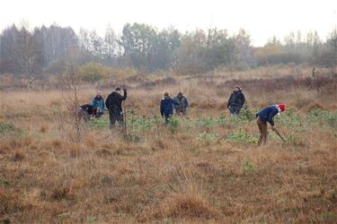 Beheerwerken in het Hageven - Pelt