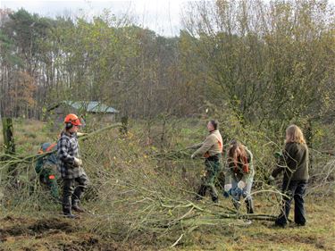 Beheerswerken Natuurpunt Beringen - Beringen