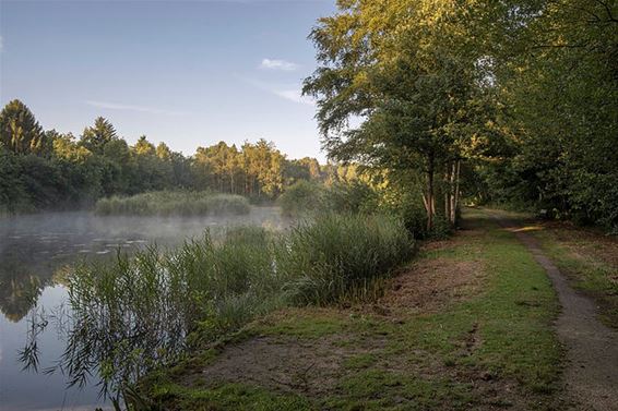 Beleef De Bever - Hamont-Achel