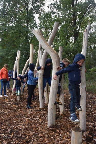 Belevingspaden aan Kolisbos ingehuldigd - Neerpelt