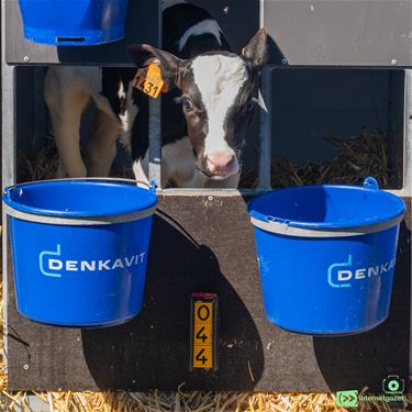 België telt 33.739 landbouwbedrijven