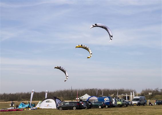 'Belgium Landkite Contest' op Balendijk - Lommel