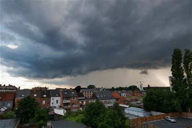 Belgische zomer - Beringen