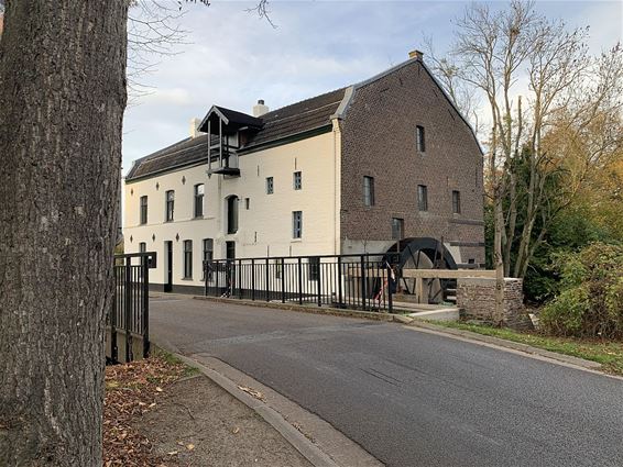 Bemvoortse molen gerestaureerd - Pelt