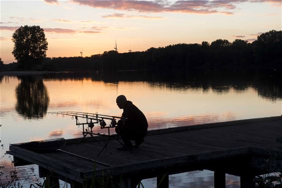 Benelux Carp Masters gestart - Beringen