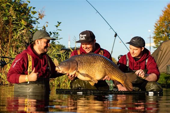 Benelux Carp Qualifier onder stralende zon - Beringen