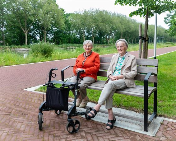 Benkskes in de zomer - Pelt