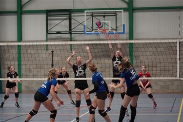 Bepavoc verliest van Stalvoc - Beringen