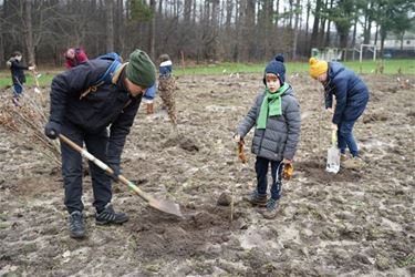 Beringen Boomt verder - Beringen