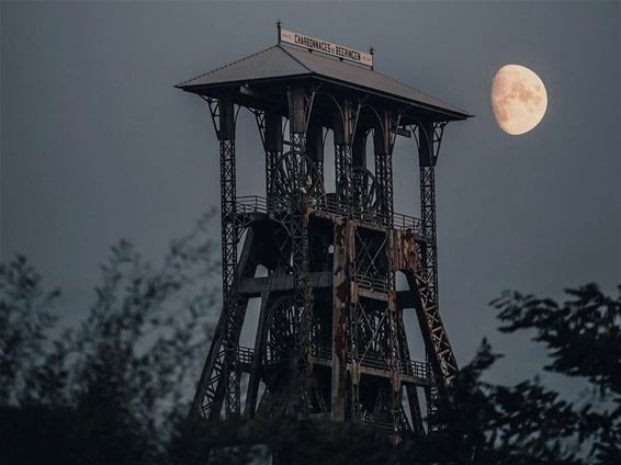 Beringen dooft lichten - Beringen