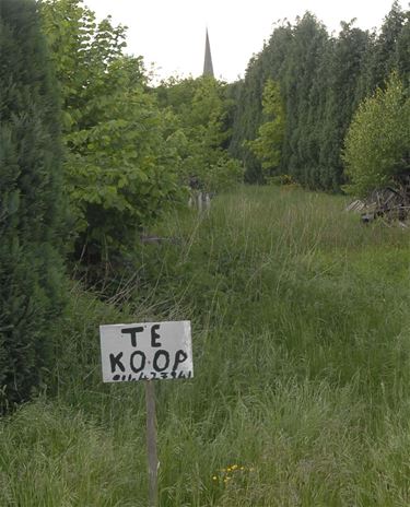 Beringen heeft nog meeste bouwgrond in Vlaanderen - Beringen